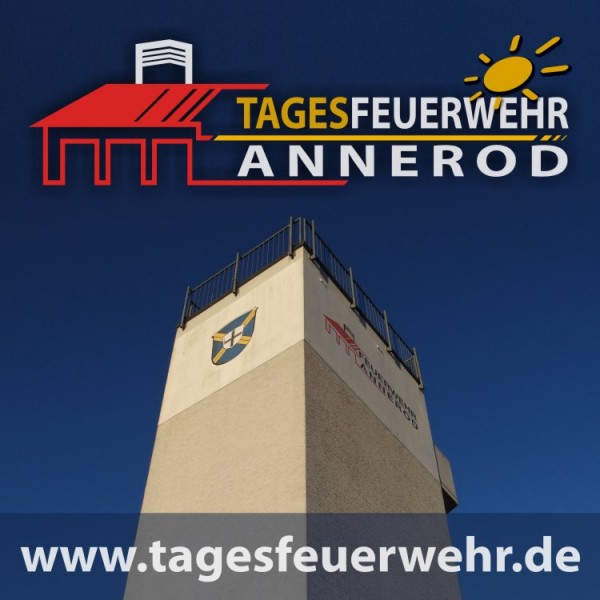 Logo Tagesfeuerwehr