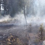 Waldbrand in Annerod