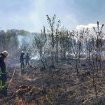 Waldbrand in Annerod