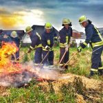 Ganztagesausbildung  Vegetationsbrandbekämpfung