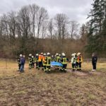 Einsatz 95/2023  Hilfeleistung Unfall mit Großtier K157 | 27.12.2023