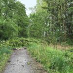 !! Gefahrenhinweis nach Unwetter !!