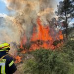 Austausch – Fernwald trifft Vila Real