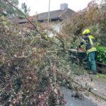 Einsatz 24/2025 Baum auf Straße | 08.06.2025