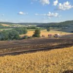 Einsatz – Fachberater Waldbrand | 12.07.2026
