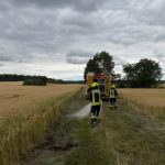 Einsätze – Kleinbrände in Feldgemarkung | 05.07.2026