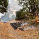 Einsatz – Brennt Stroh auf Feld | 15.08.2026